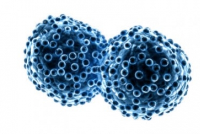 Cancro